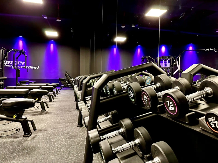 Dumbbell rack (15 pairs) UR-S003-3 - UpForm