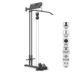 Wall-Mounted Lat Pulldown with Dual Guide Rails MS-W103 2.0 – Marbo Sport