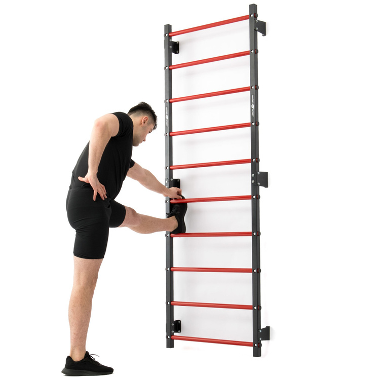 Set MHU1 | Metal ladder 230 x 81 cm MH-U204 + Mulitifunctional wall-mounted dip station with pull-up bar (2in1) MH-U205 - Marbo Sport