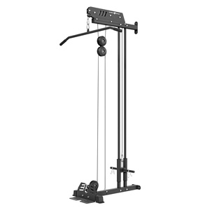 Wall-Mounted Lat Pulldown with Dual Guide Rails MS-W103 2.0 – Marbo Sport