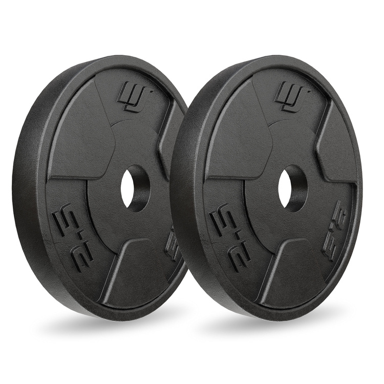 Cast iron weight plates set 2 × 2,5 kg – Marbo Sport