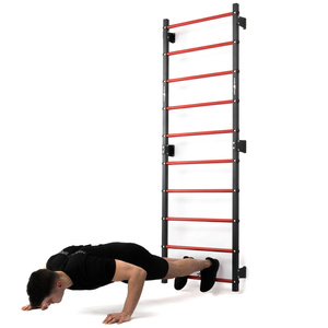 Set MHU1 | Metal ladder 230 x 81 cm MH-U204 + Mulitifunctional wall-mounted dip station with pull-up bar (2in1) MH-U205 - Marbo Sport