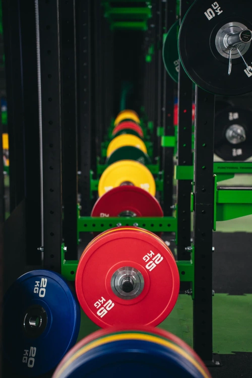 Set of polyurethane (PU) bumpers 150 kg - UpForm