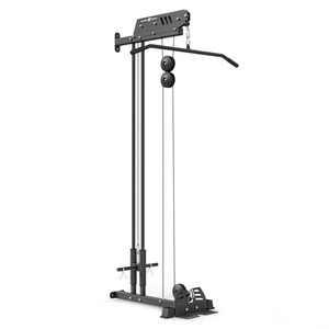 Wall-Mounted Lat Pulldown with Dual Guide Rails MS-W103 2.0 – Marbo Sport