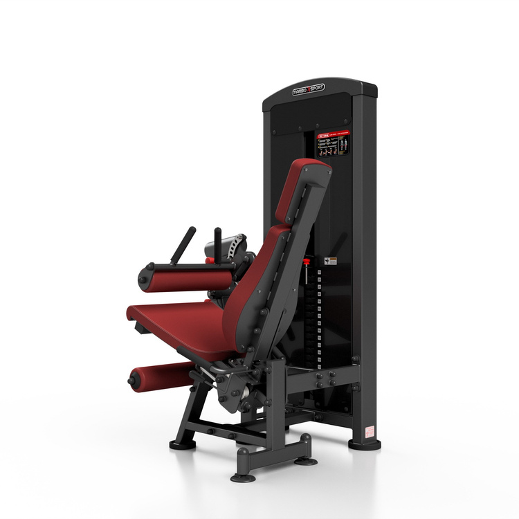 2-in-1 leg extension - leg curl MP-U216 - Marbo Sport