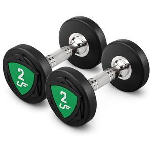 Set of polyurethane dumbbells 1-10kg (increments of 1 kg) 110 kg with dumbbell rack UR-S005– UpForm