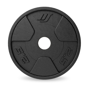 Cast iron weight plates set 2 × 2,5 kg – Marbo Sport