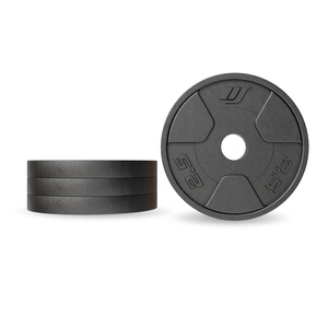 Cast iron weight plates set 2 × 2,5 kg – Marbo Sport