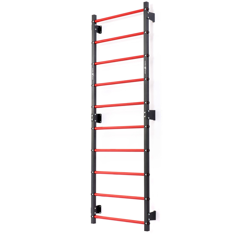 Set MHU1 | Metal ladder 230 x 81 cm MH-U204 + Mulitifunctional wall-mounted dip station with pull-up bar (2in1) MH-U205 - Marbo Sport